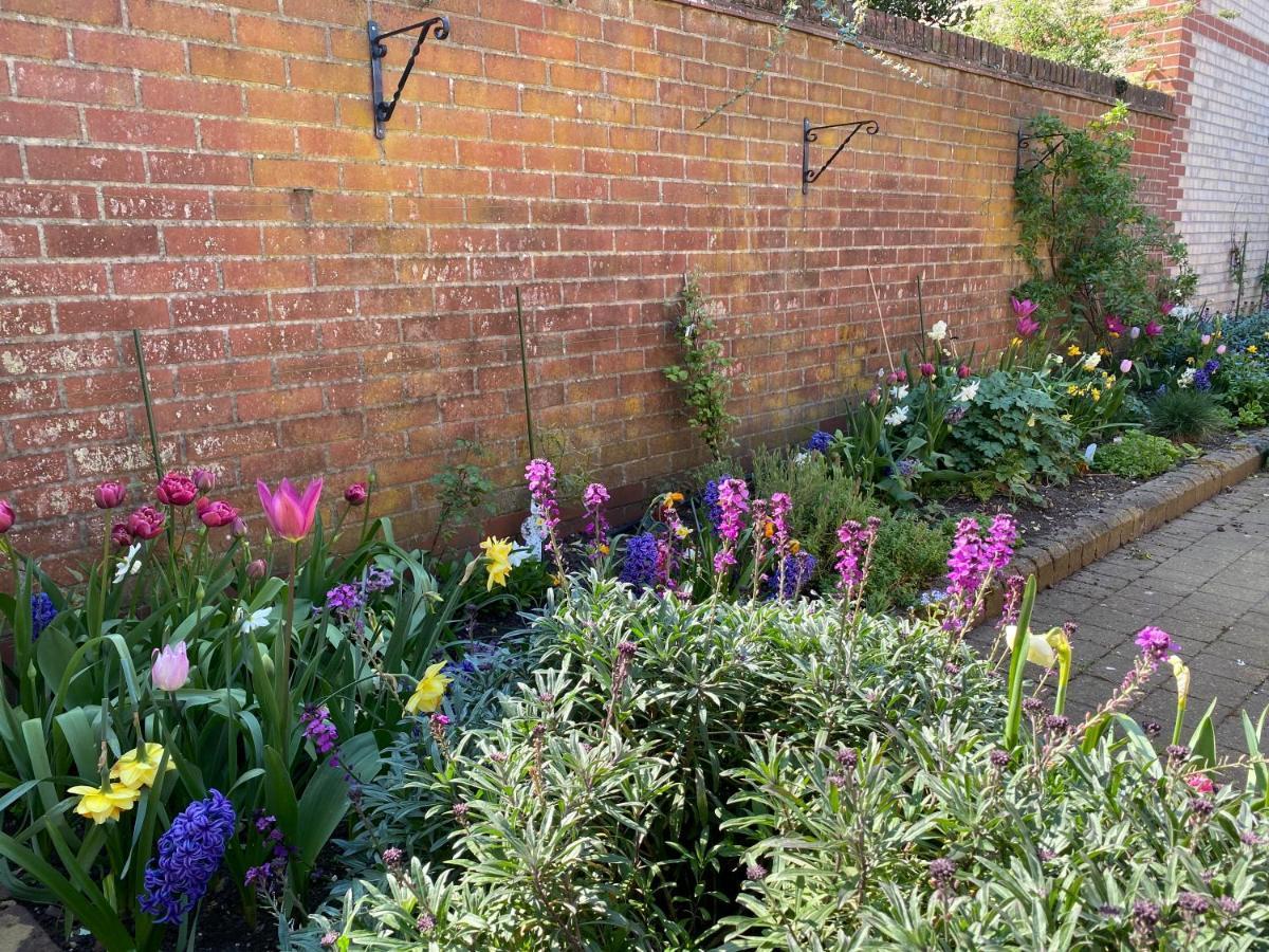 Stylish Town Centre House With Garden And Parking Opposite Villa Bury St. Edmunds Eksteriør bilde